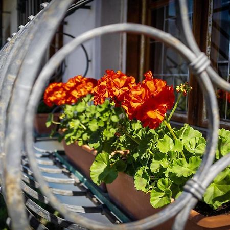 Ferienwohnung Zypresse Merano Dış mekan fotoğraf