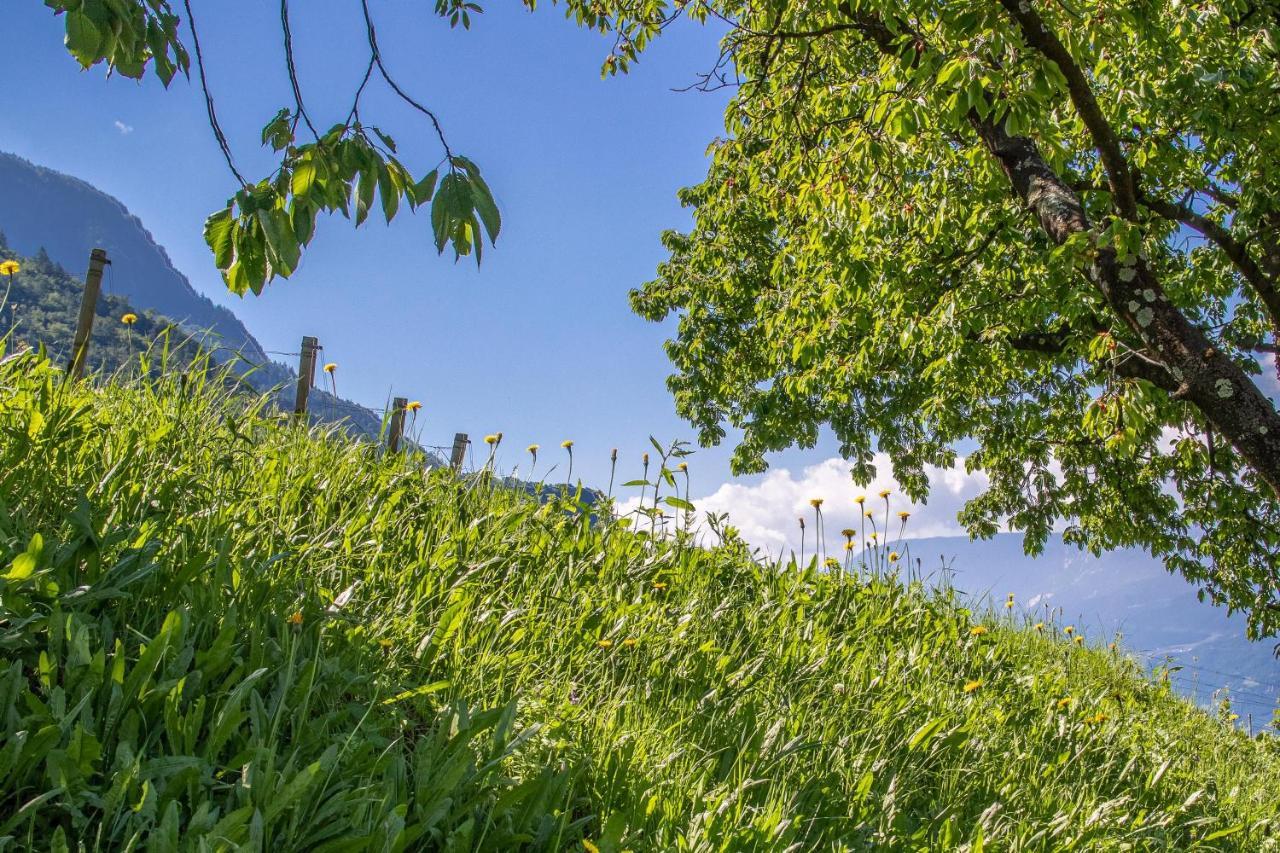 Ferienwohnung Zypresse Merano Dış mekan fotoğraf